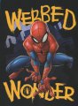 Twin  Spiderman Webbed Wonder Royal Plush Blanket