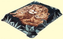 King Solaron Lions & Cub Mink Blanket