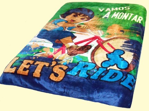 Twin Diego Ride Royal Plush Blanket