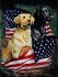 Signature Queen Patriotic Dogs Mink Blanket
