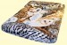 Luxury Queen Owls Mink Blanket