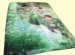 Twin Green Lantern Royal Plush Mink Blanket