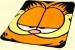 Garfield Mink Blanket
